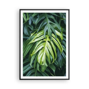Plagát v čiernom ráme - Ponoriť sa do sviežosti - 70x100 cm