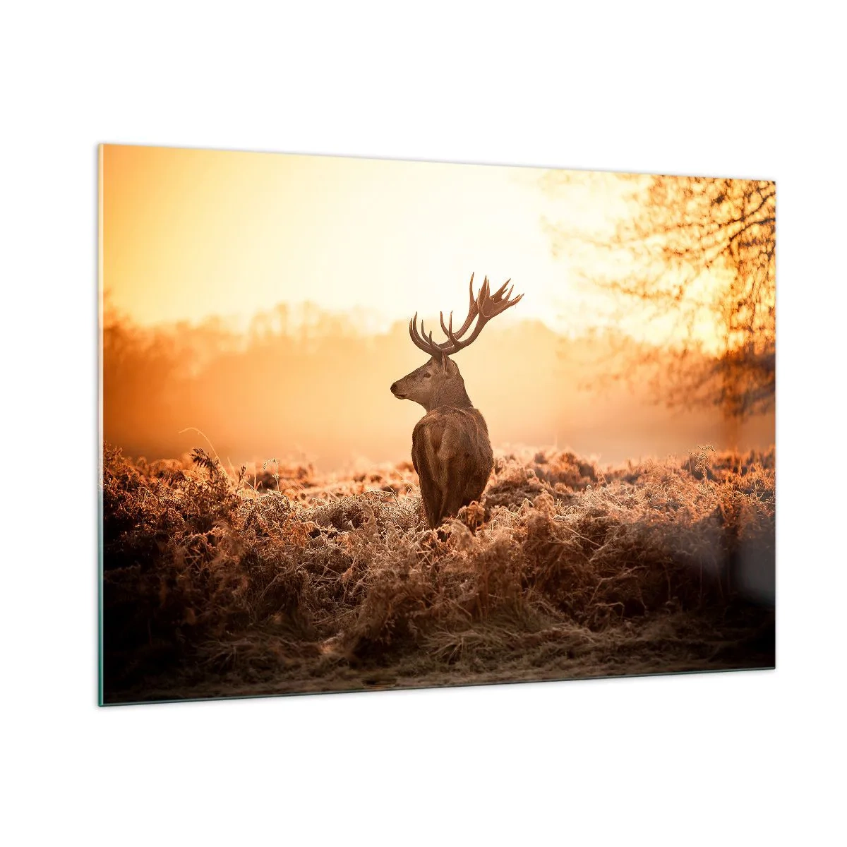 Obraz na skle - Pán na panstve - 100x70 cm