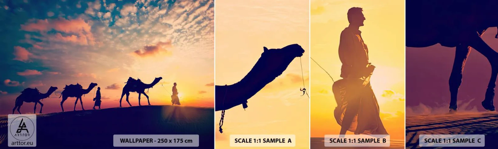 Vzorka Fototapeta Standard Eco - Tajomný duch orientu - Krajina, Púšť, Camel - 100x30 cm