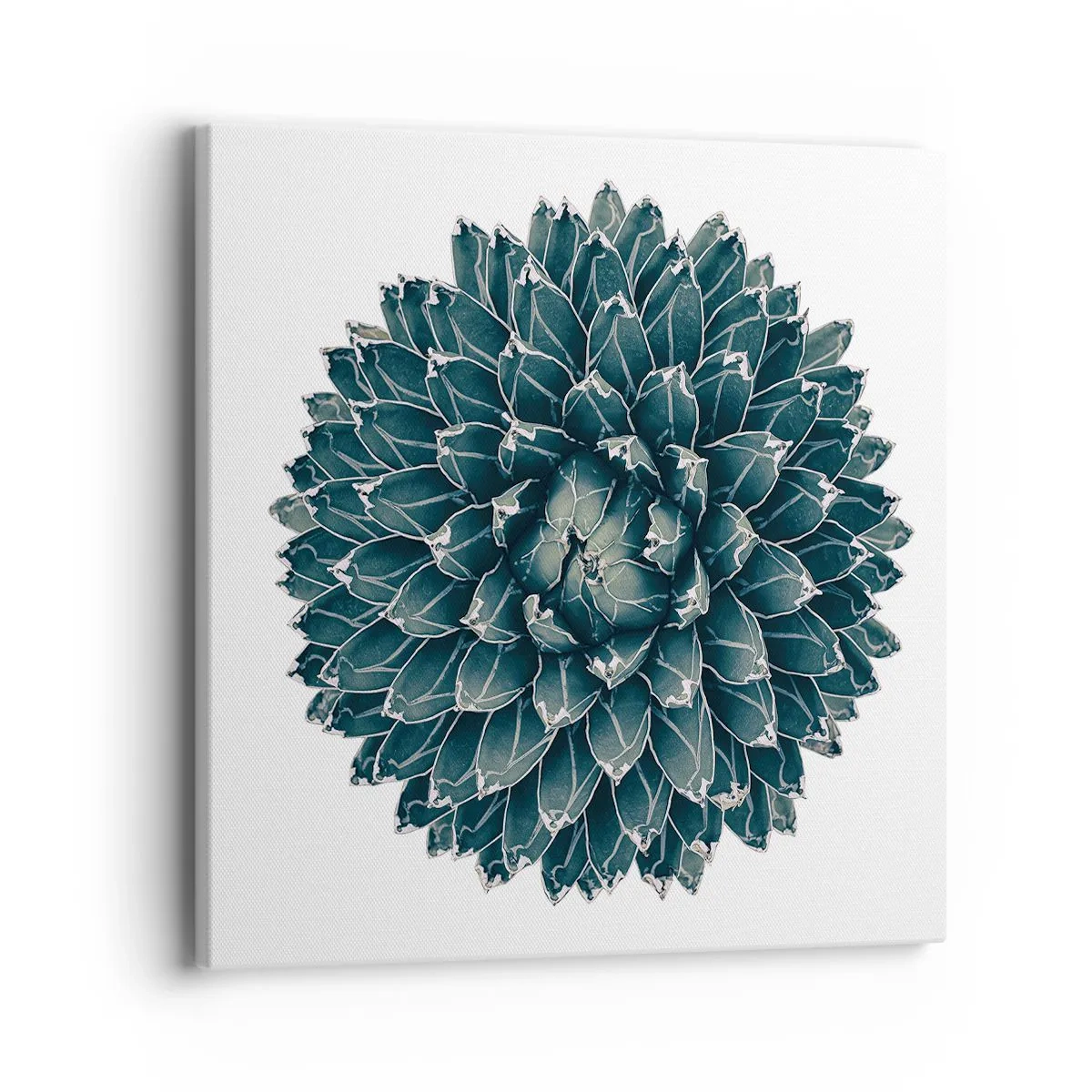 Obraz na plátne - Hviezda púšte - 40x40 cm