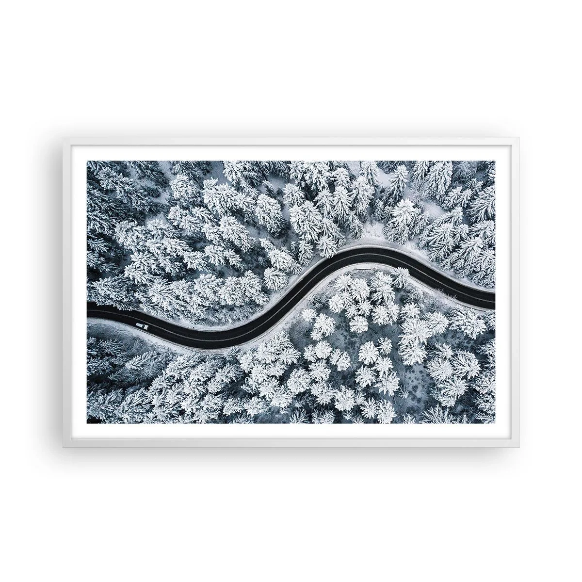Plagát v bielom ráme - Zimným lesom - 91x61 cm