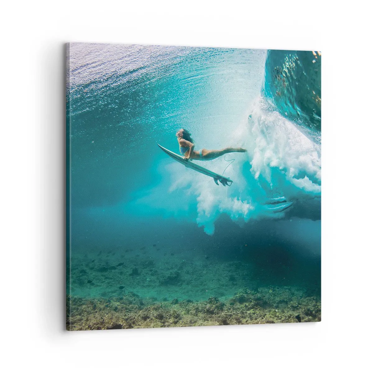 Obraz na plátne - Podmorský svet - 60x60 cm