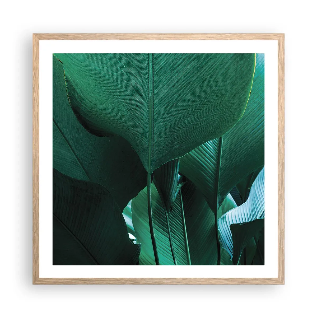 Plagát v ráme zo svetlého duba - Obrátené k svetlu - 60x60 cm