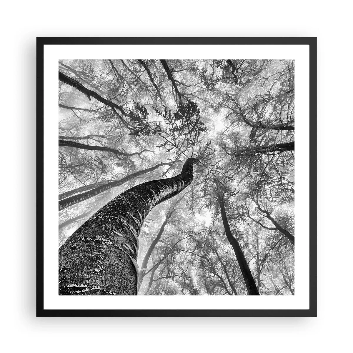 Plagát v čiernom ráme - Závod ku svetlu - 60x60 cm