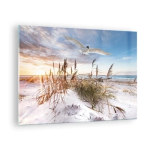 Obraz na skle - Vták letiaci nad dunami pri západe slnka - 70x50cm - Vietor od mora - Moderná nástenná dekorácia do obývacej izby a spálne ARTTOR