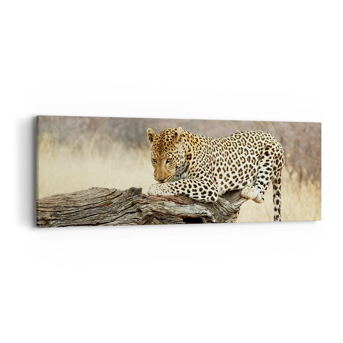 Obraz na plátne - Chodím vlastnými cestami - 90x30 cm