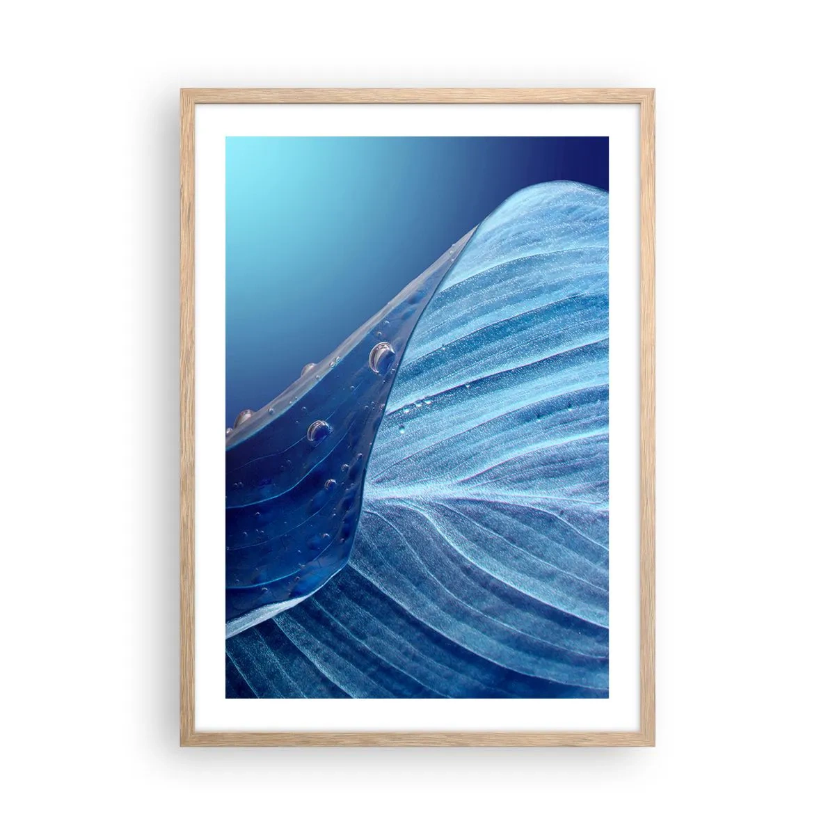 Plagát v ráme zo svetlého duba - Skryté kvapky modrej - 50x70 cm