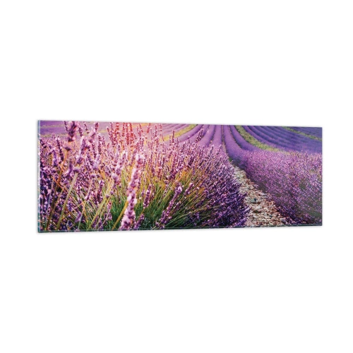 Obraz na skle - Voňavý lán - 90x30 cm