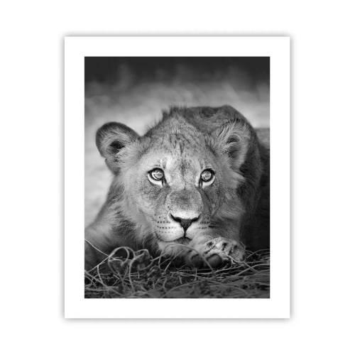 Plagát - Kráľovské šteňa - 40x50 cm