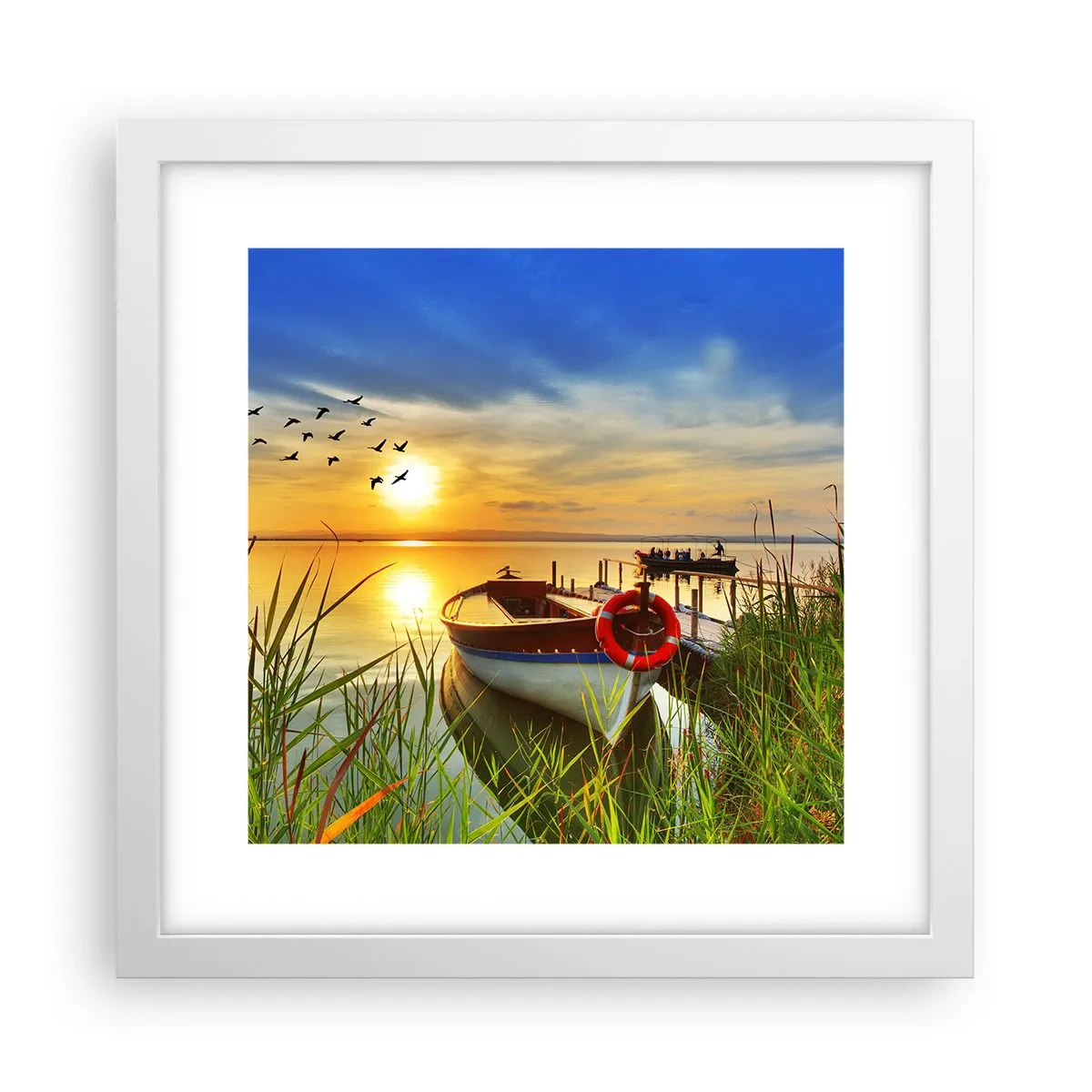 Plagát v bielom ráme - Kormorány už odlietajú - 30x30 cm