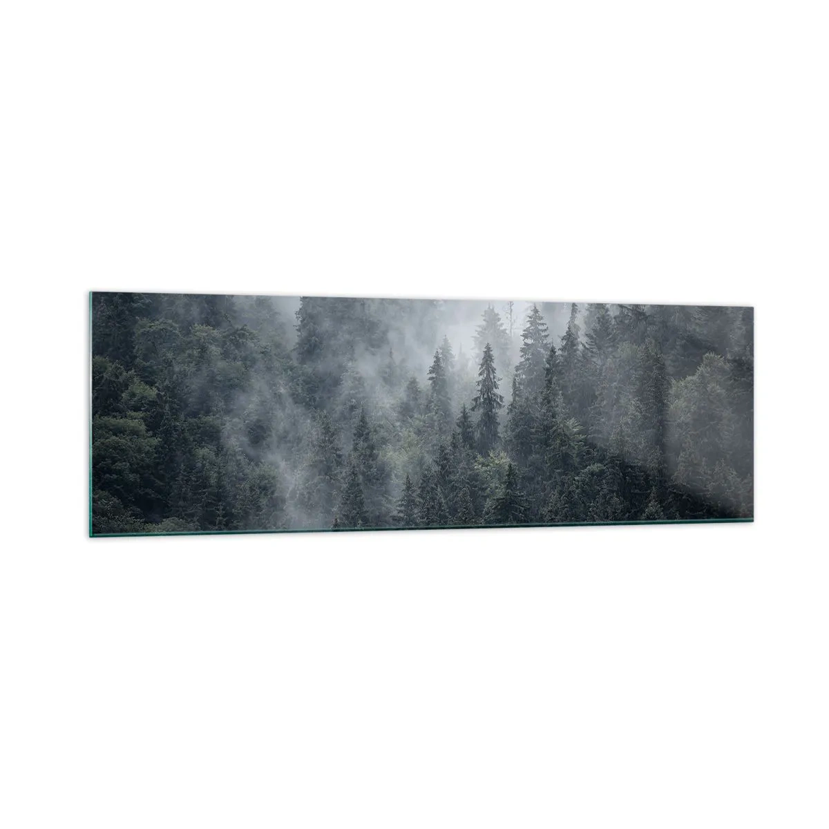 Obraz na skle - Lesné svitania - 160x50 cm