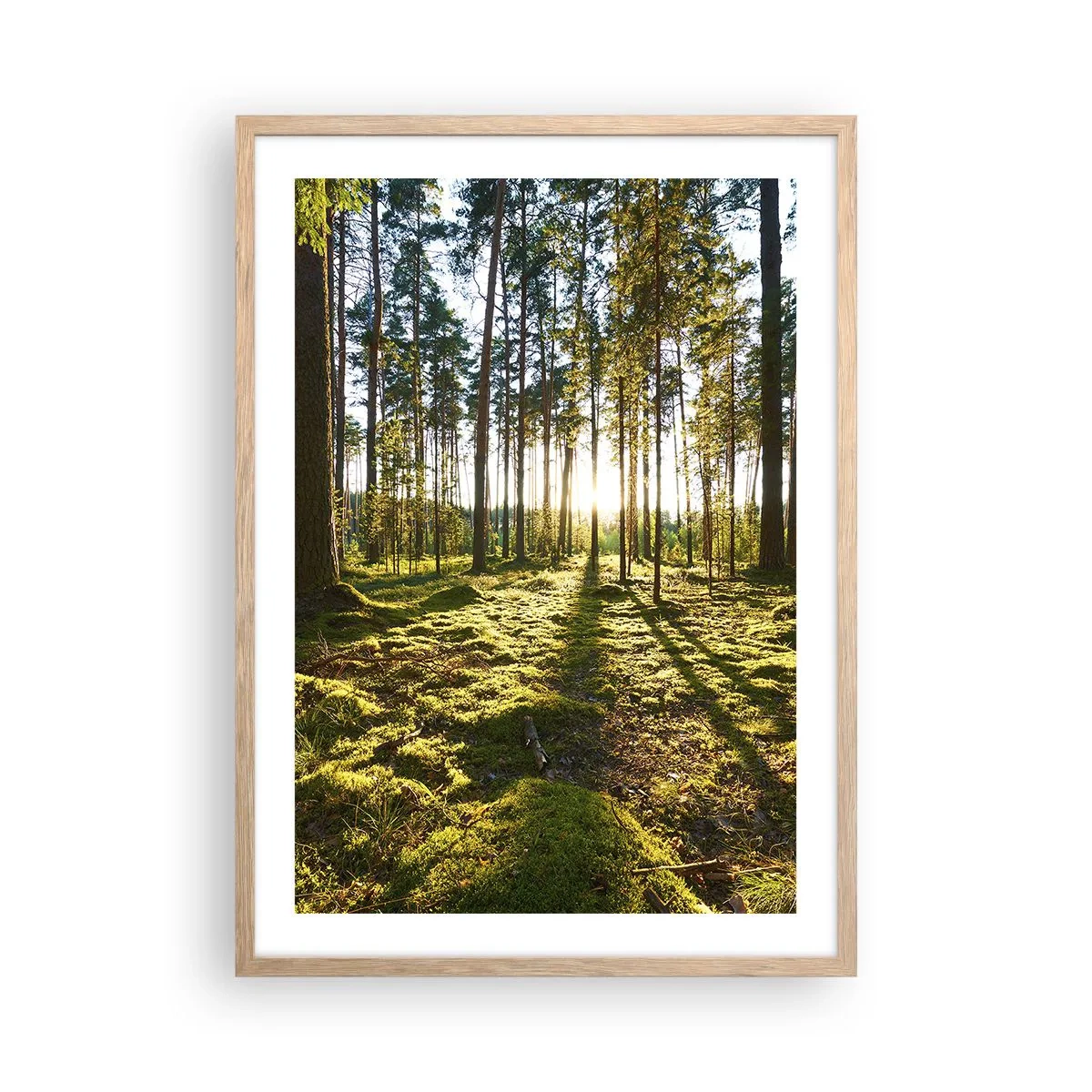 Plagát v ráme zo svetlého duba - …Za siedmimi lesmi - 50x70 cm