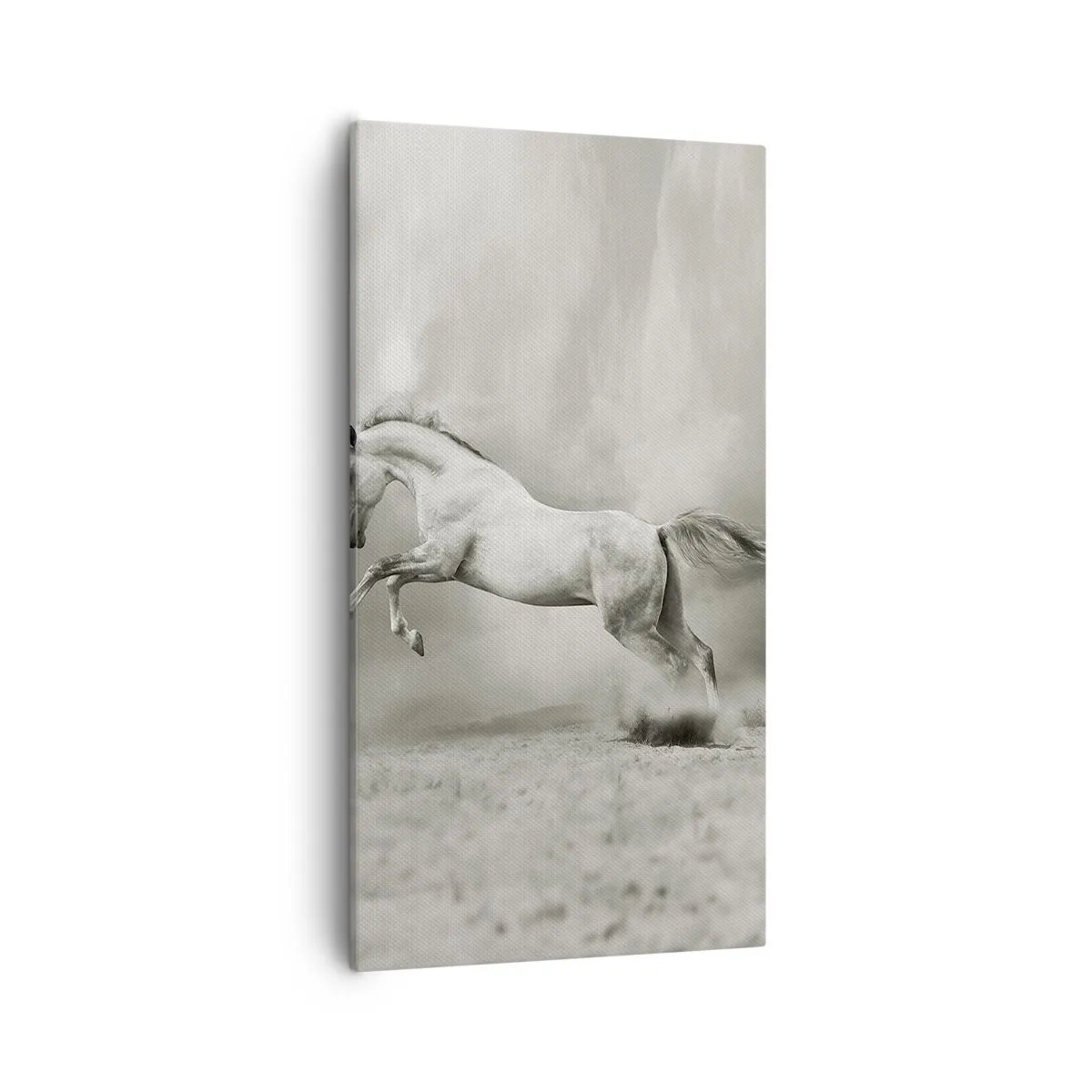 Obraz na plátne - Medzi bdením a snom - 55x100 cm