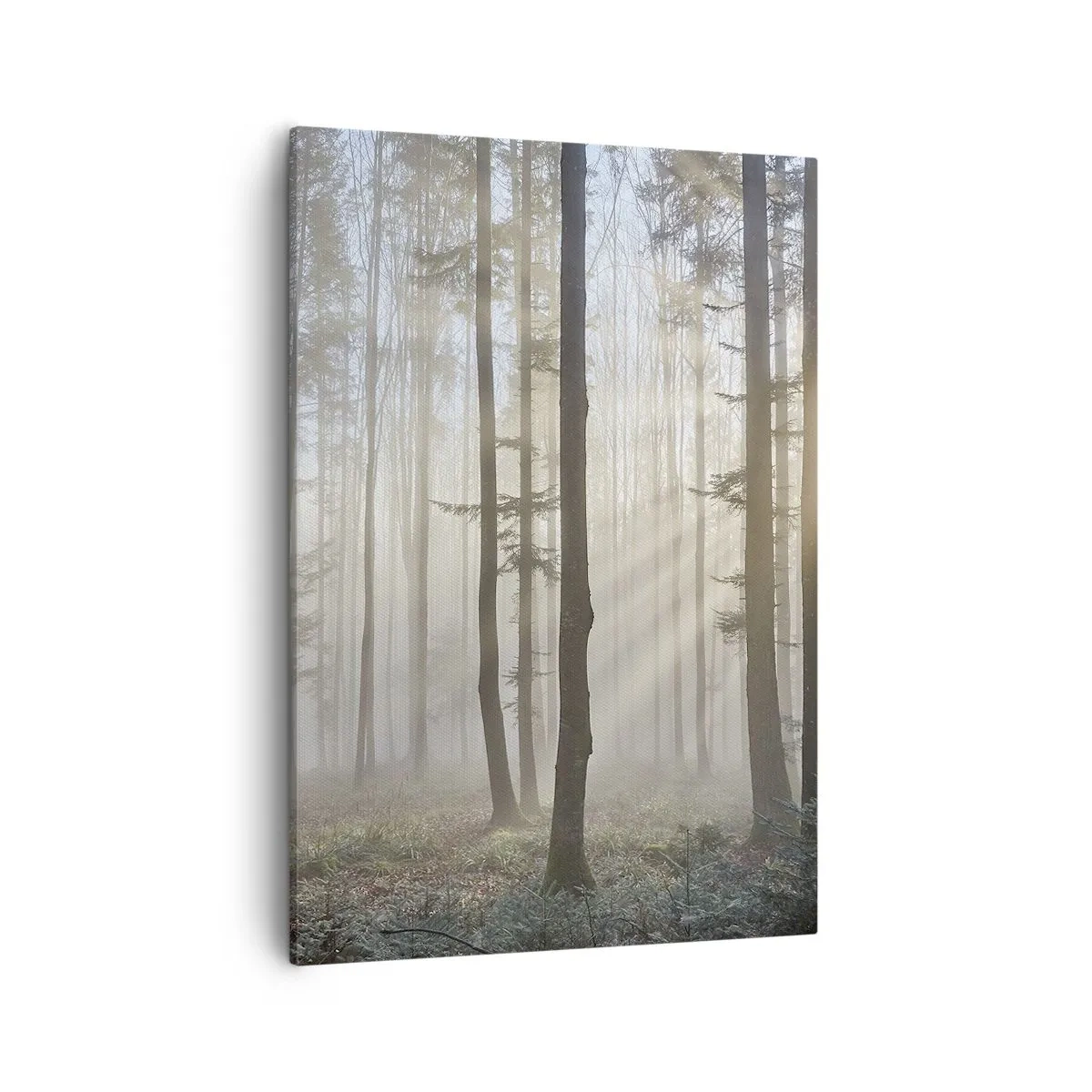 Obraz na plátne - Hmla sa tiež zobudila - 50x70 cm