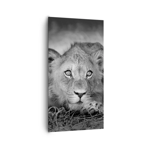 Obraz na plátne - Kráľovské šteňa - 65x120 cm