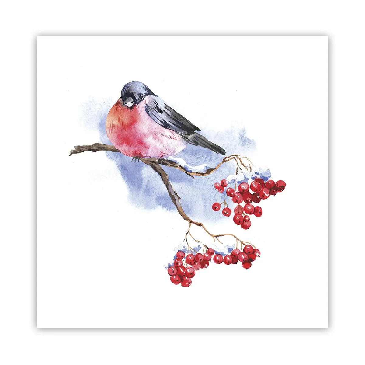 Plagát - Farebná zima - 50x50 cm