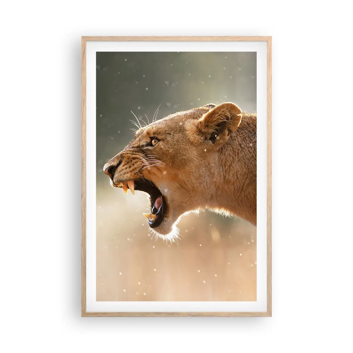 Plagát v ráme zo svetlého duba - Snaž sa nepočúvať - 61x91 cm