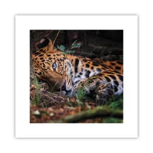 Plagát - Ver mi - 30x30 cm