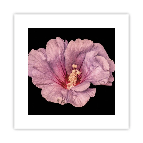 Plagát - Priamo do srdca - 30x30 cm