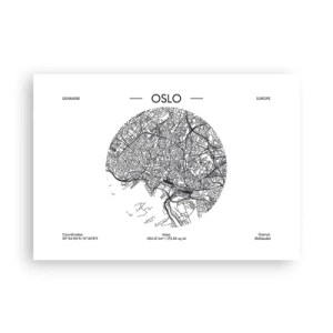 Plagát - Anatómia Osla - 100x70 cm