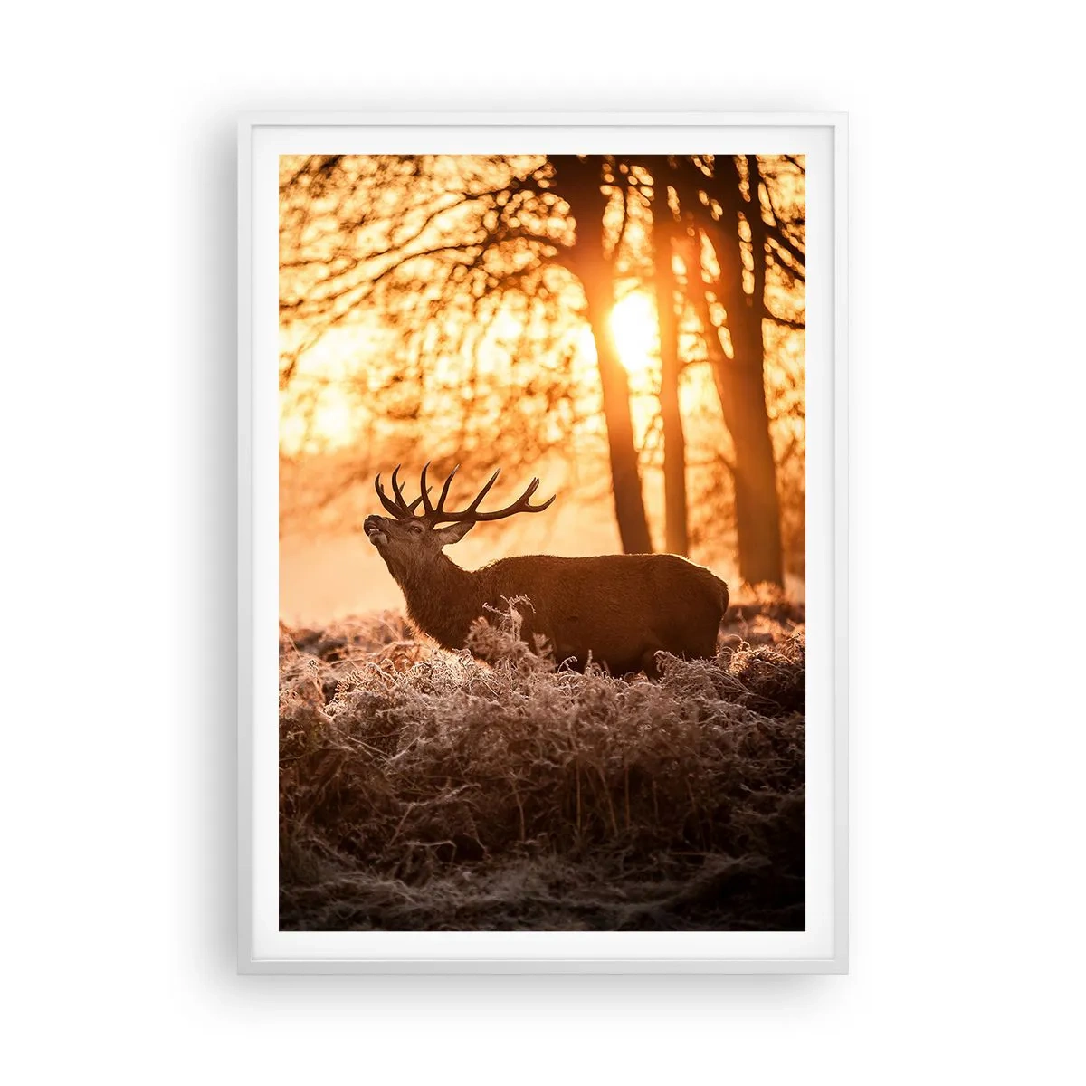 Plagát v bielom ráme - Sen poľovníka - 70x100 cm