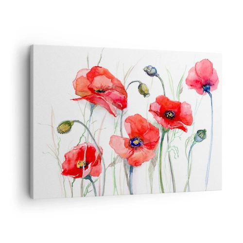 Obraz na plátne - Akvarelové maky na jemnom pozadí - 70x50cm - Poľské kvety - Moderná nástenná dekorácia do obývacej izby a spálne ARTTOR