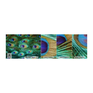 Vzorka fototapety Premium Sand - Páví pohľad - Abstrakcia, Pávie perie, Vtáčie pierko - 100x30 cm