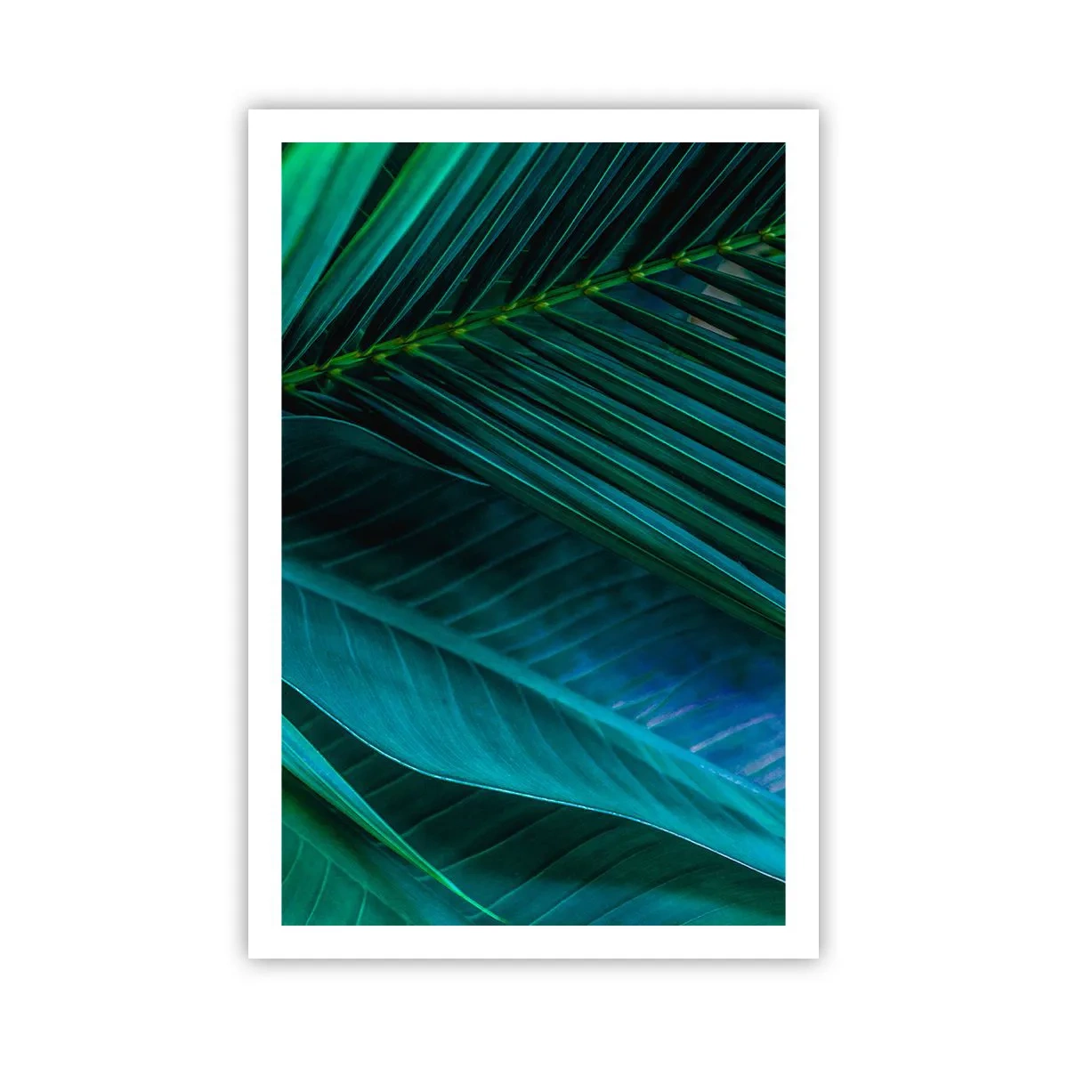 Plagát - Anatómia zelene - 61x91 cm