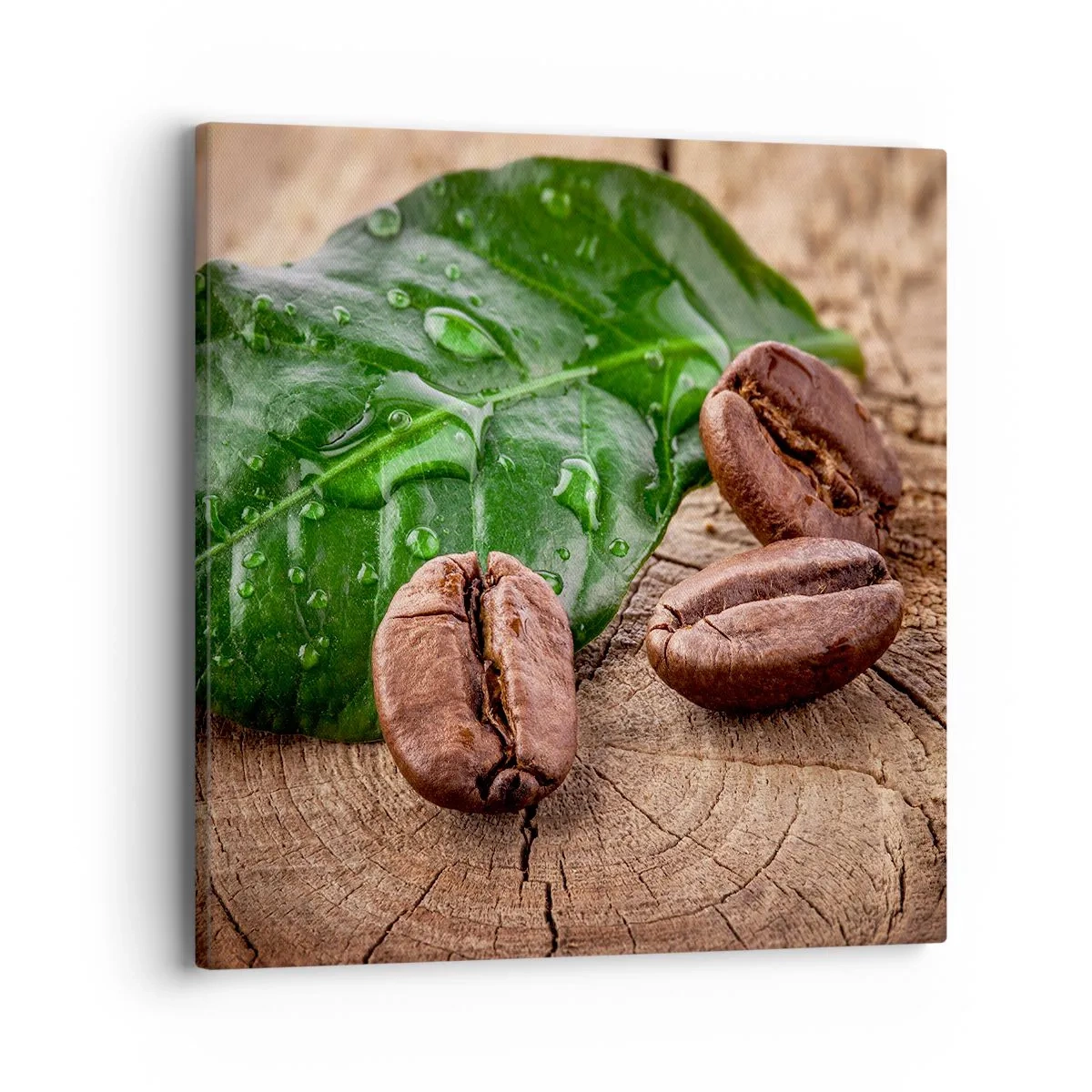 Obraz na plátne - Najskutočnejšia a čierna - 40x40 cm