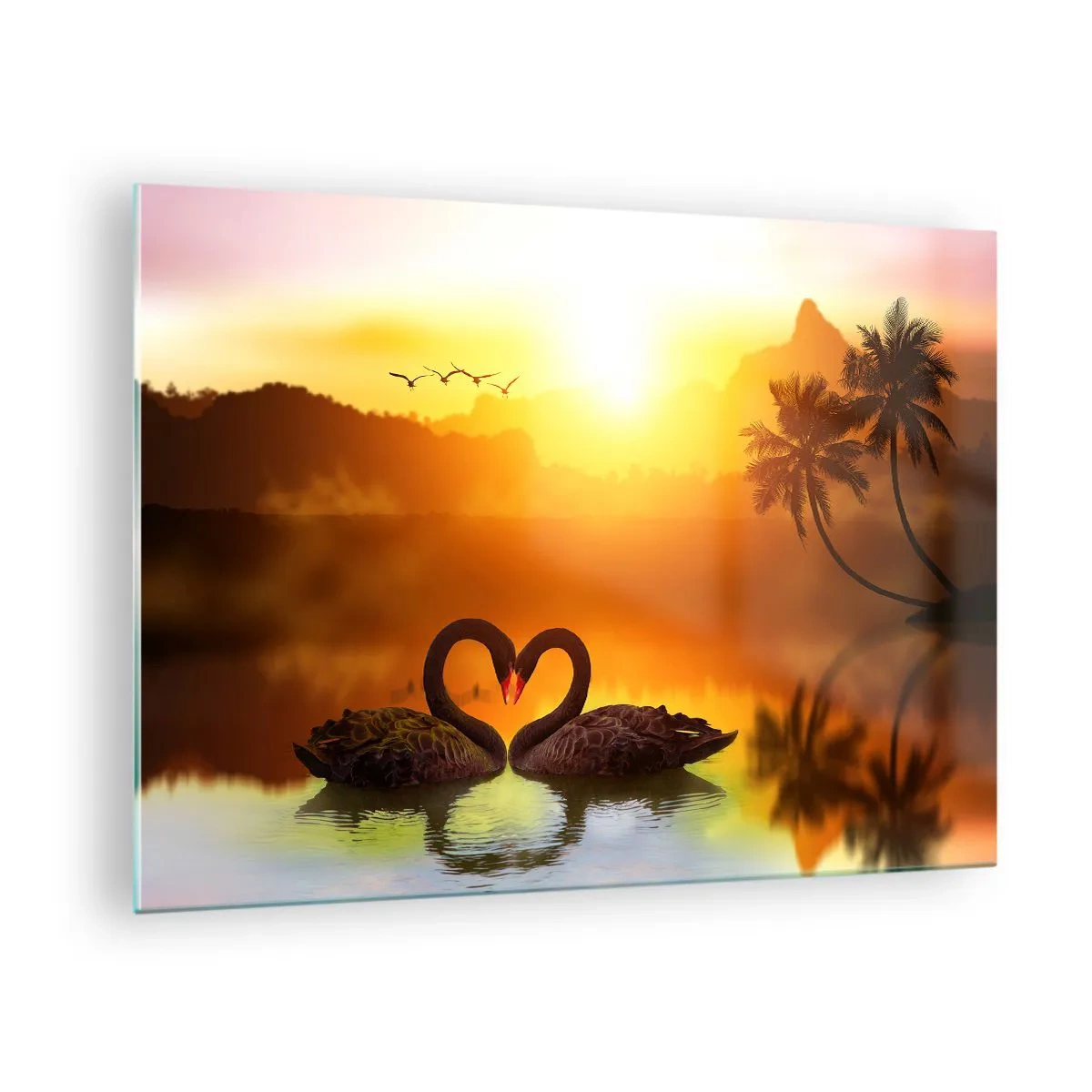 Obraz na skle - Čierne labute na jazere pri západe slnka - 70x50cm - Všetko do páru - Moderná nástenná dekorácia do obývacej izby a spálne ARTTOR