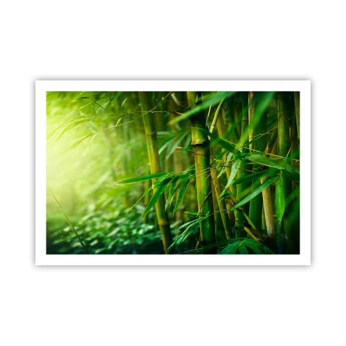 Plagát - Poznať samotnú zeleň - 91x61 cm