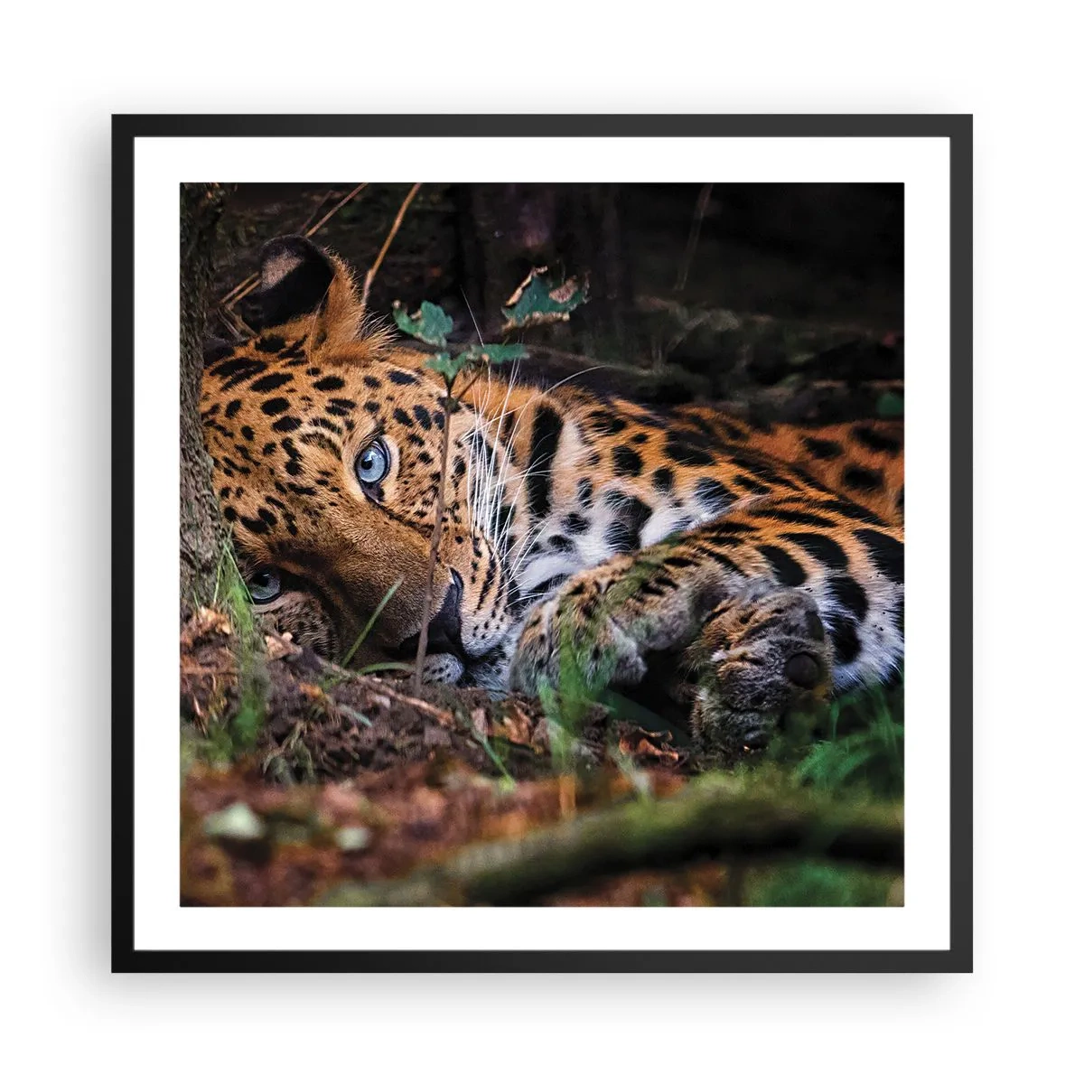 Plagát v čiernom ráme - Ver mi - 60x60 cm