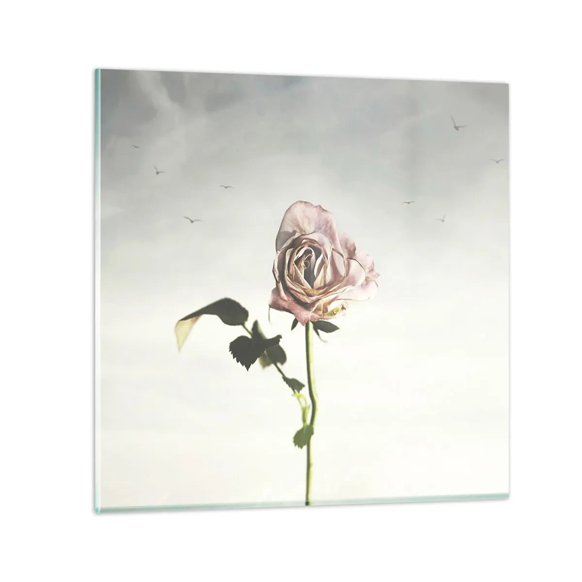 Obraz na skle - Vítanie jari - 50x50 cm