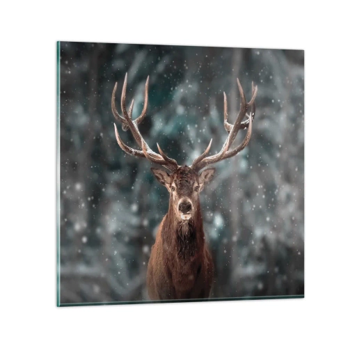 Obraz na skle - Skutočný kráľ lesa - 70x70 cm