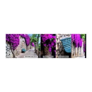 Vzorka Fototapeta Standard Eco - Stretnime sa čo najrýchlejšie - Mesto, Kvety, Taliansko - 100x30 cm