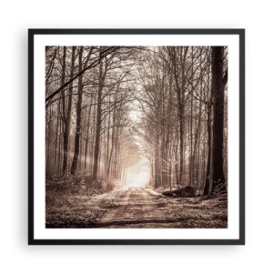 Plagát v čiernom ráme - Lesná katedrála - 60x60 cm