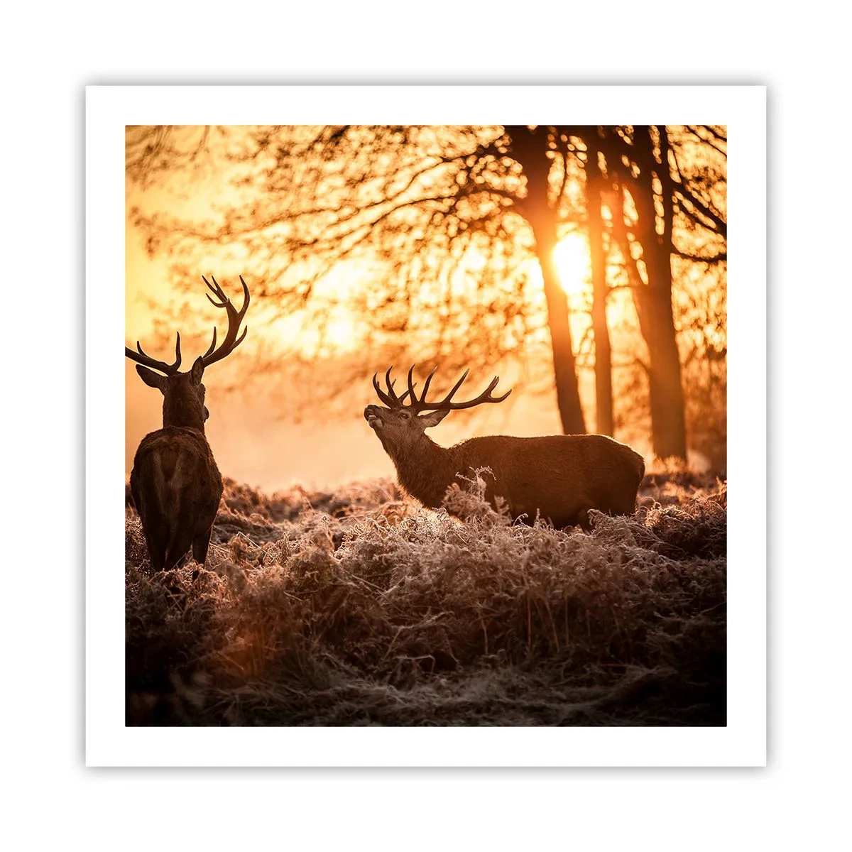 Plagát - Sen poľovníka - 60x60 cm