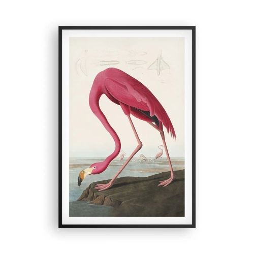 Plagát v čiernom ráme - Úžasná tvora - 61x91 cm