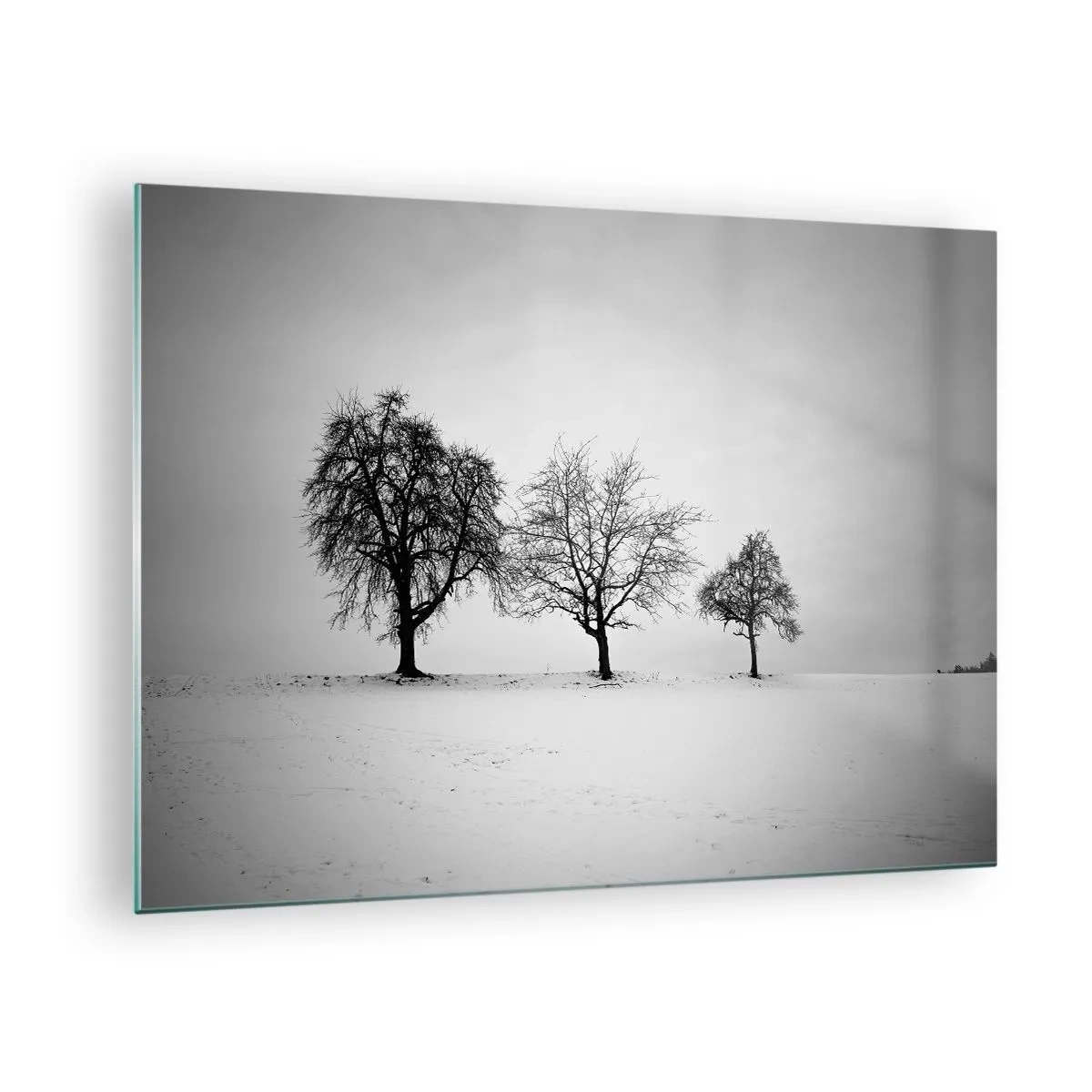 Obraz na skle - Tri osamelé stromy v zasneženej oblasti - 70x50cm - O čom sníva? - Moderná nástenná dekorácia do obývacej izby a spálne ARTTOR