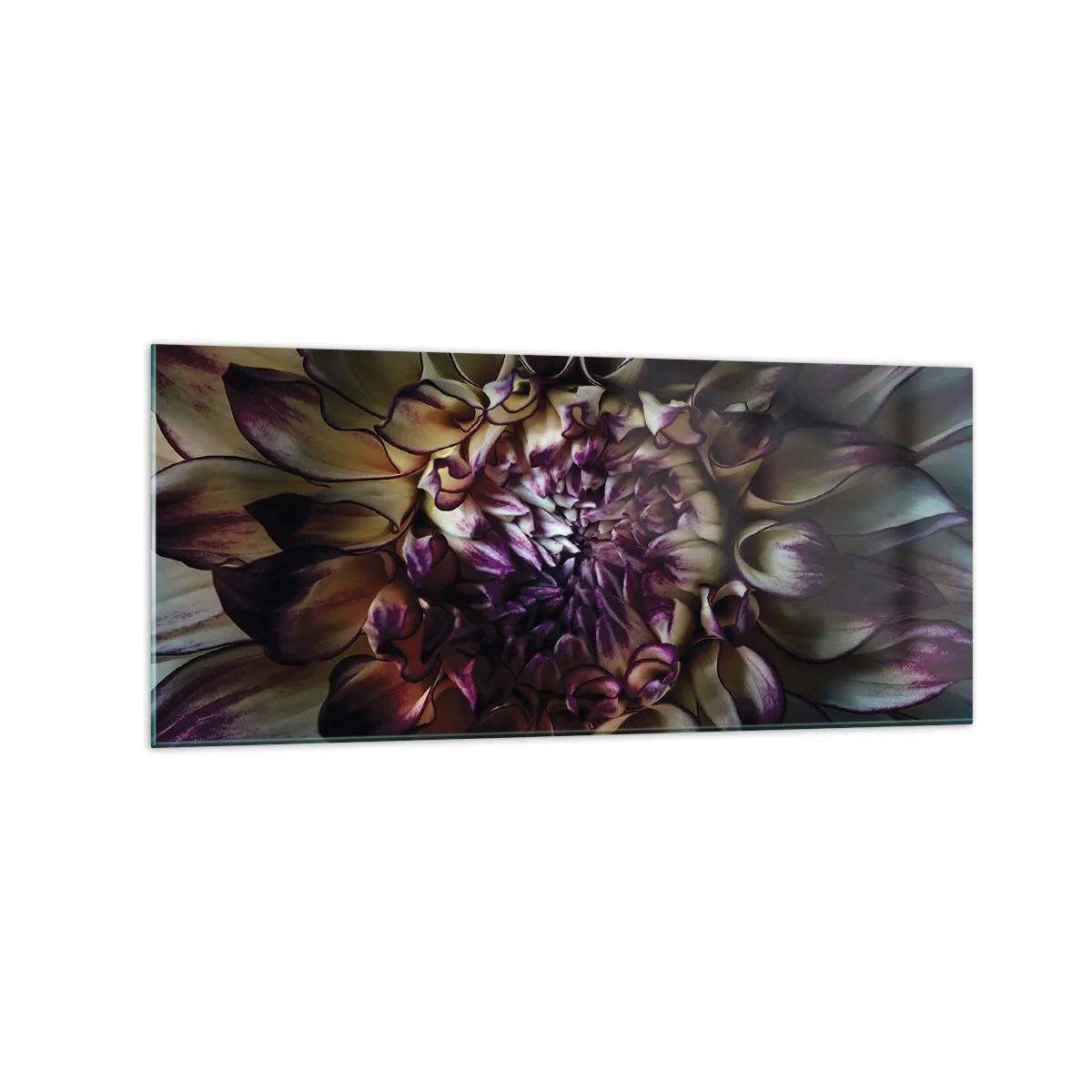 Obraz na skle - Rozkvet mladosti - 120x50 cm