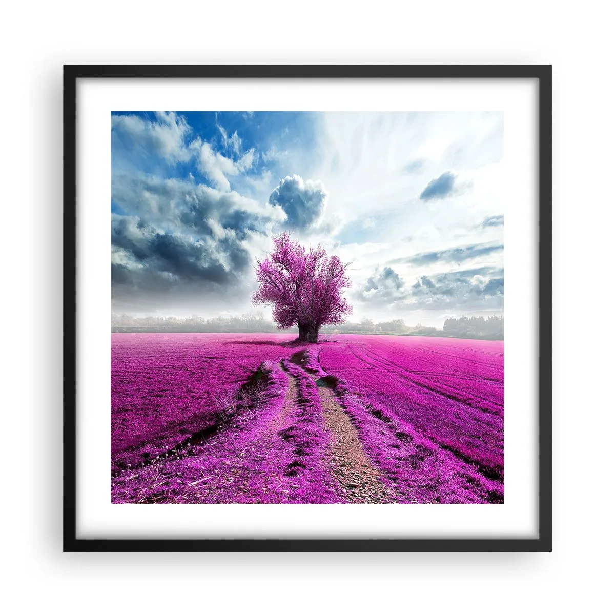 Plagát v čiernom ráme - Vresoviská - divočina - 50x50 cm