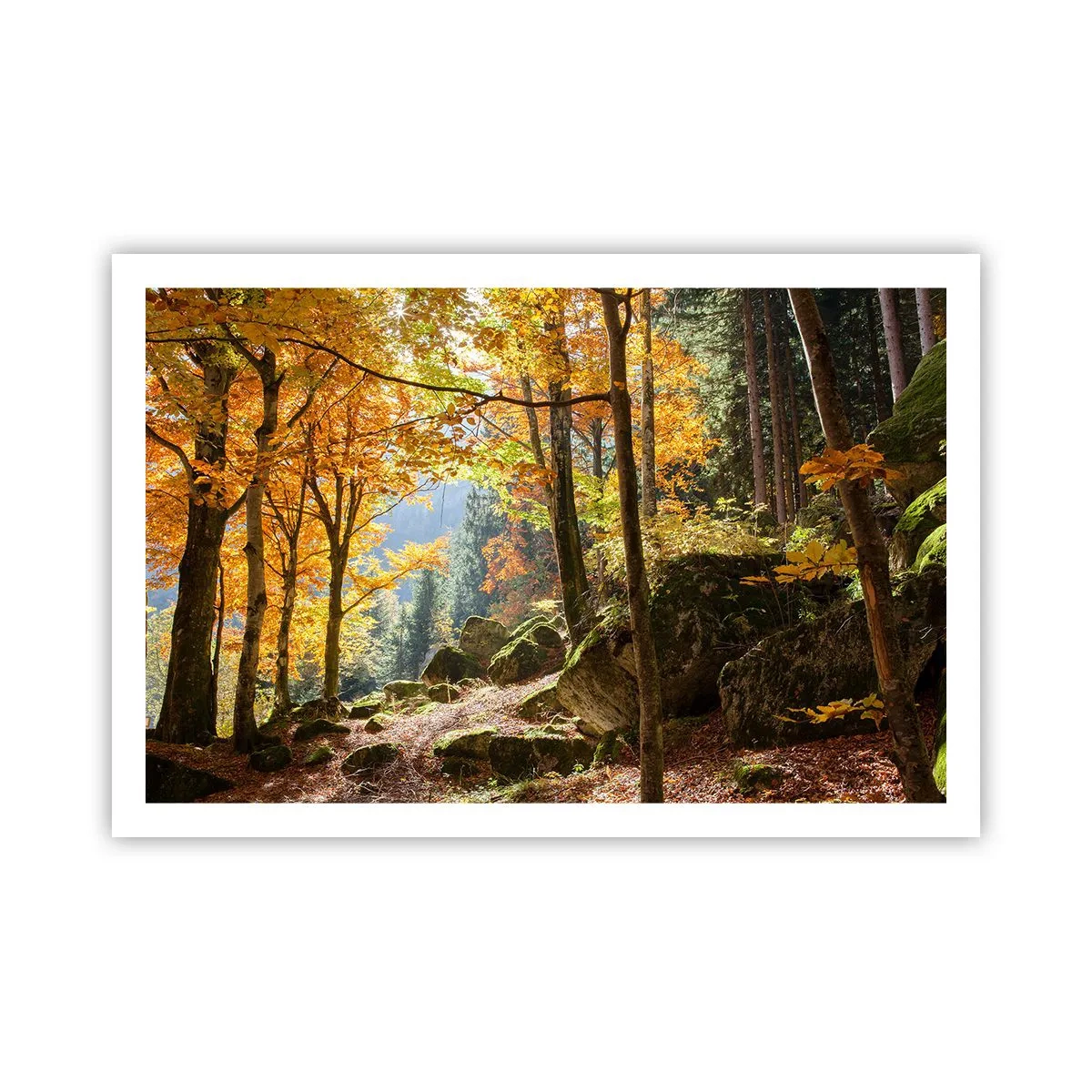 Plagát - Čas na odpočinok - 91x61 cm