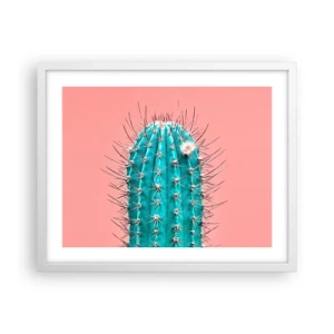 Plagát v bielom ráme - Len pozeraj - 50x40 cm