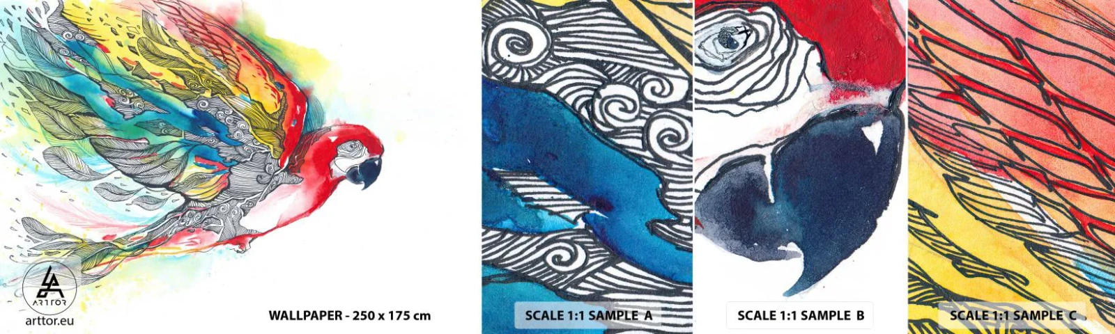 Vzorka Fototapeta Standard Eco - Ži farebne - Vták, Papagáj, Farebné perie - 100x30 cm