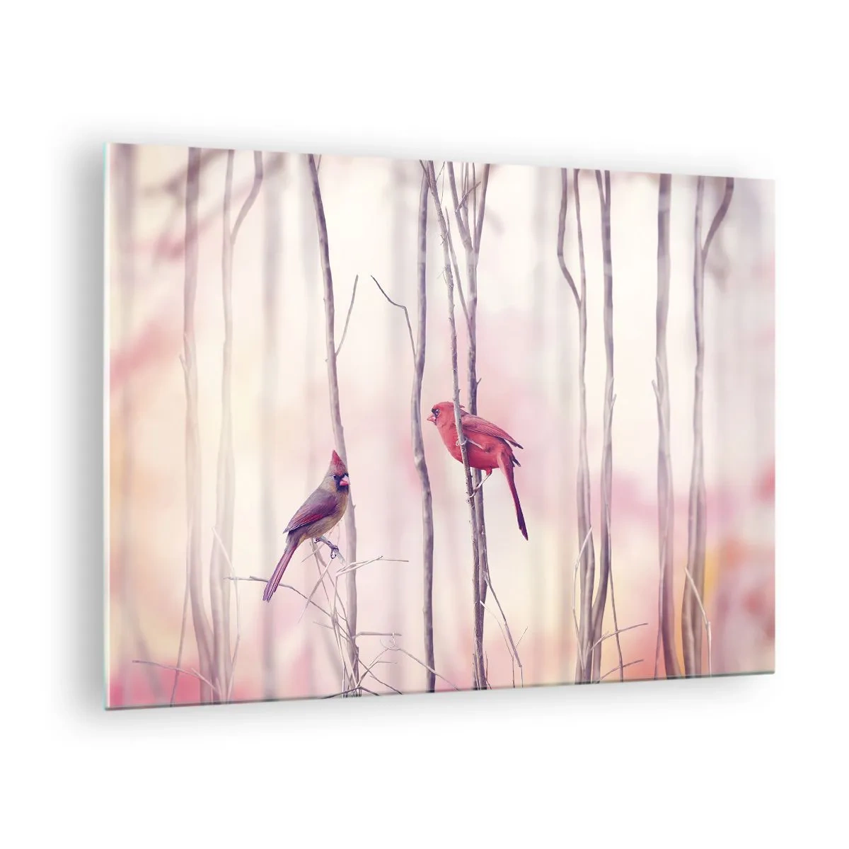 Obraz na skle - Dva vtáky medzi jemnými vetvičkami v pastelových tónoch - 70x50cm - Príbeh ružového lesa - Moderná nástenná dekorácia do obývacej izby a spálne ARTTOR