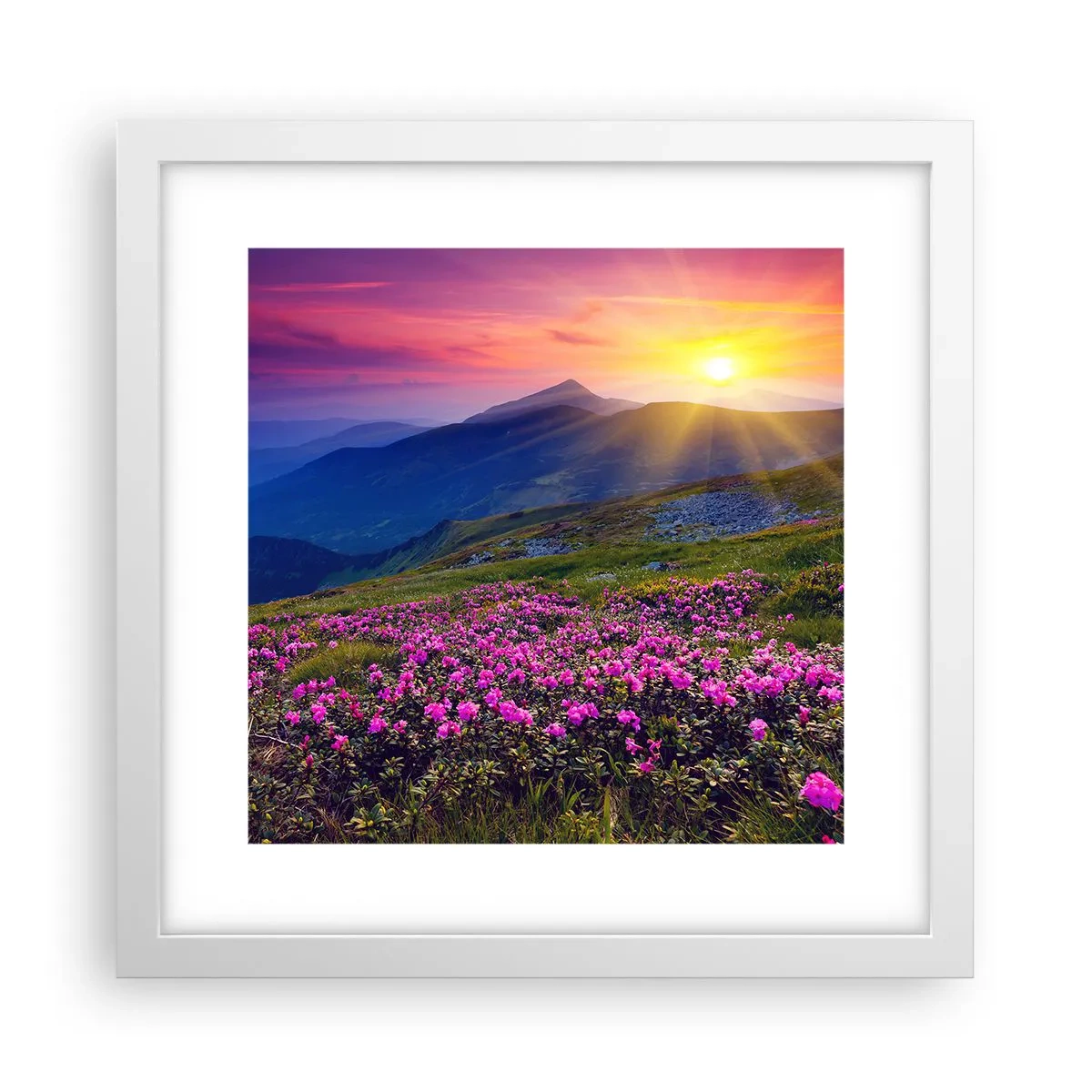Plagát v bielom ráme - …A okolo vonia kosodrevina a voňajú byliny - 30x30 cm