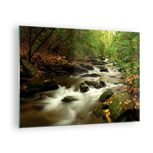 Obraz na skle - Potok v lese obklopený kameňmi a listami - 70x50cm - Ako tekuté striebro - Moderná nástenná dekorácia do obývacej izby a spálne ARTTOR