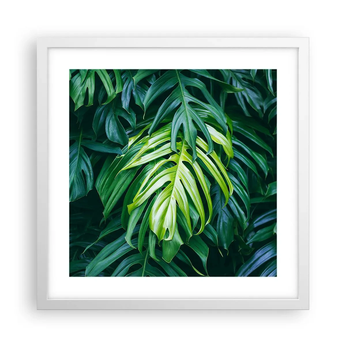 Plagát v bielom ráme - Ponoriť sa do sviežosti - 40x40 cm