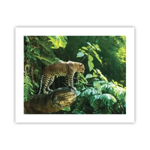 Plagát - Na lov? - 50x40 cm