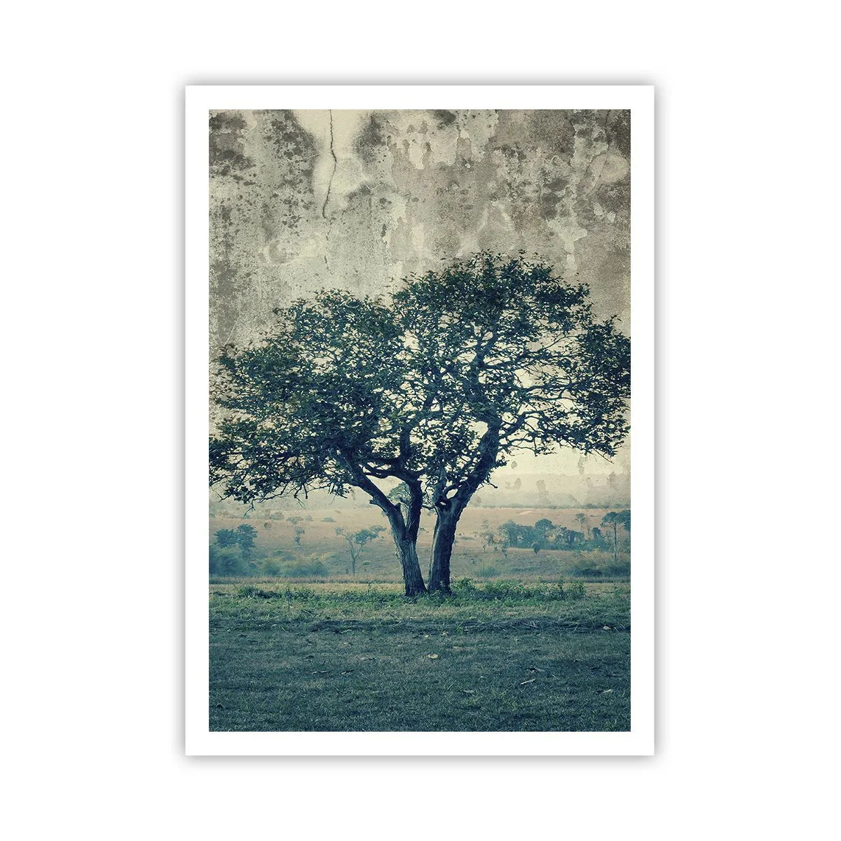 Plagát - Jabloň na modrom poli? - 70x100 cm